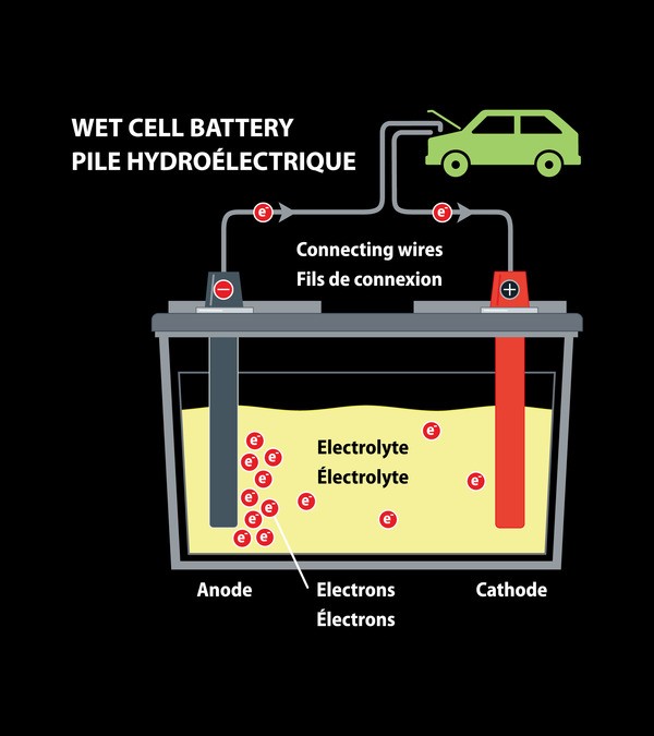 Wet (Liquid) Cell Battery with Components