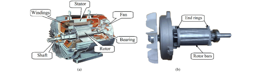  a) The structure of SCIM; b) The squirrel-cage rotor of SCIM